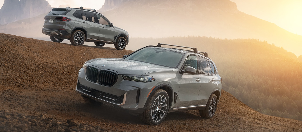 THE X5