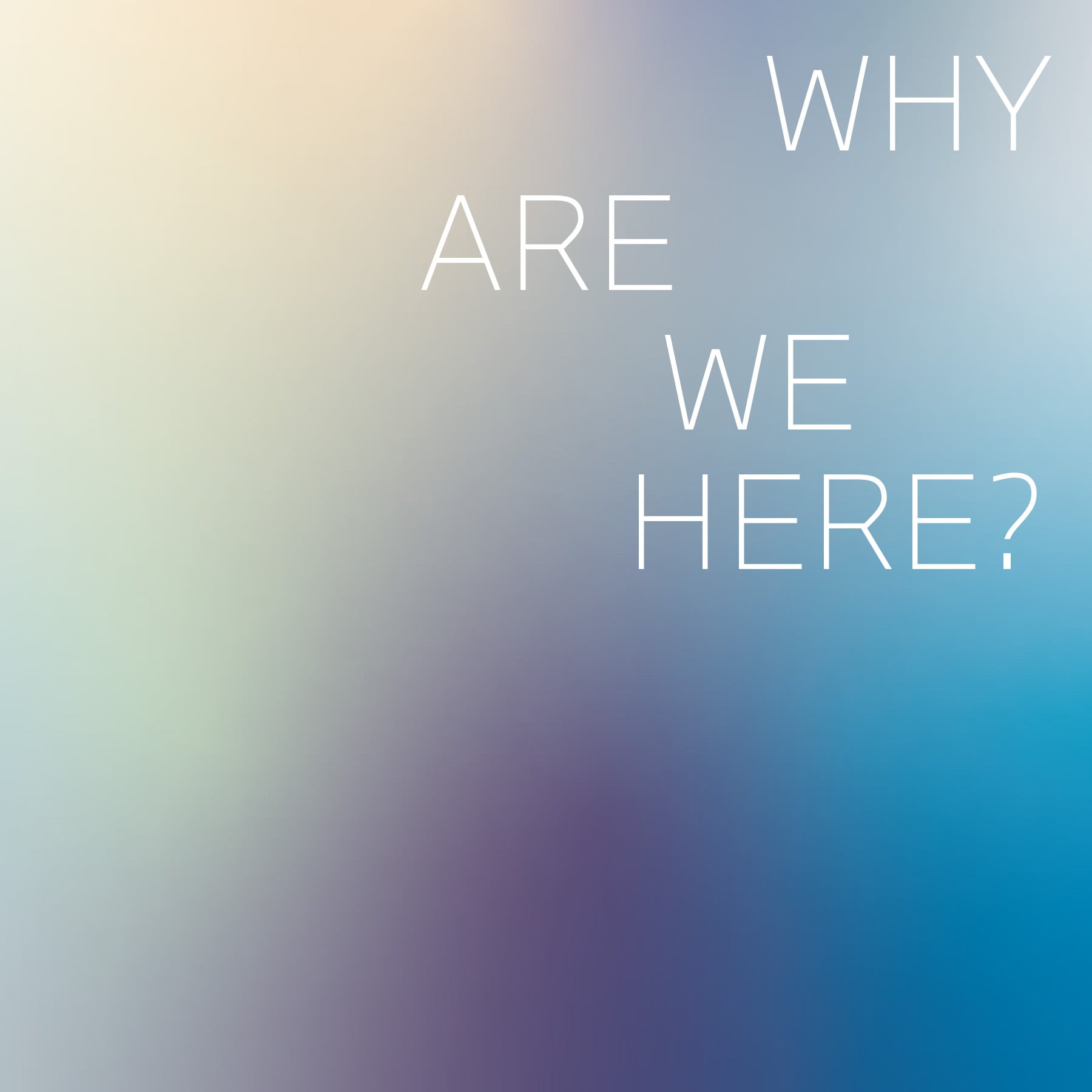 Future Vision: Questions and answers