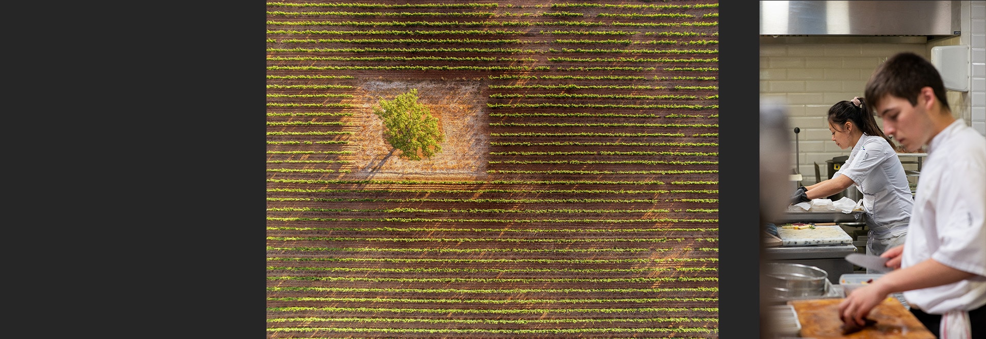 Château de Berne, Jardin de Berne, restaurant, sustainability