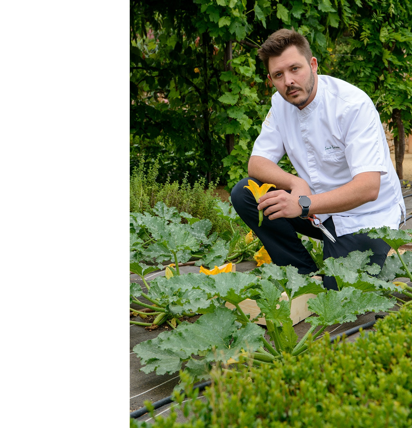 Louis Rameau, Château de Berne, Jardin de Berne, restaurant, chef